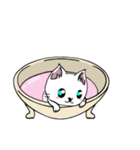 勇者を目指す猫と仲間たち。魔法使い（個別スタンプ：31）