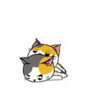勇者を目指す猫と仲間たち。魔法使い（個別スタンプ：40）