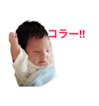 そまくん1ヶ月スタンプ（個別スタンプ：8）