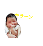 そまくん1ヶ月スタンプ（個別スタンプ：11）