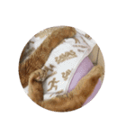 ネコとハムスターの癒しおてて と あんよ（個別スタンプ：7）