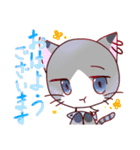 猫ちゃん☆日常的スタンプ（個別スタンプ：1）
