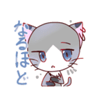 猫ちゃん☆日常的スタンプ（個別スタンプ：5）