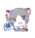猫ちゃん☆日常的スタンプ（個別スタンプ：31）