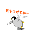 ペンギンSTORY2☆家族の日常会話♪（個別スタンプ：28）