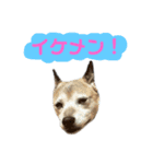 風とことば（個別スタンプ：5）