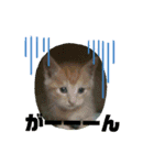 ねこつきcat's moon3のスタンプ（個別スタンプ：4）