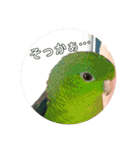 サザナミ部屋の仲間たち その2（個別スタンプ：6）