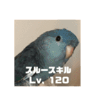 サザナミ部屋の仲間たち その2（個別スタンプ：15）
