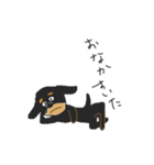 ダックスフンドです（個別スタンプ：3）