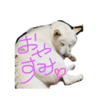 ♥ハートくんの日常♥（個別スタンプ：2）