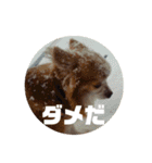 ゆう君です！（個別スタンプ：2）