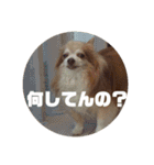 ゆう君です！（個別スタンプ：4）
