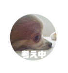 ゆう君です！（個別スタンプ：6）