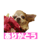 ゆう君です！（個別スタンプ：8）