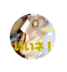 ゆう君です！（個別スタンプ：13）
