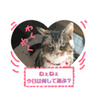 桃日々 3（個別スタンプ：3）
