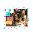 桃日々 3（個別スタンプ：5）