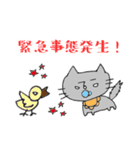 育児ネコのスタンプ（個別スタンプ：16）