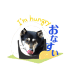 ウチの愛犬ジュリさん（個別スタンプ：18）