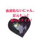 かわいい犬と猫の仲良しダジャレスタンプ（個別スタンプ：8）
