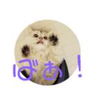 しぐれ様の日常（個別スタンプ：16）