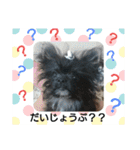ウエダ毛すたんぷ（個別スタンプ：11）