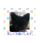 ウエダ毛すたんぷ（個別スタンプ：16）