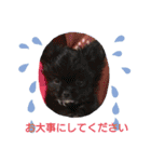 ウエダ毛すたんぷ（個別スタンプ：21）