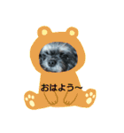 ウエダ毛すたんぷ（個別スタンプ：22）