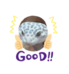 ウエダ毛すたんぷ（個別スタンプ：29）