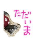 ハムすたンプ その④ (家族で使える編)（個別スタンプ：2）