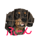 るーたんのスタンプrume（個別スタンプ：5）