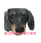 るーたんのスタンプrume（個別スタンプ：8）