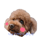 ぶんchan（個別スタンプ：8）