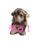 しふぉん2（個別スタンプ：6）