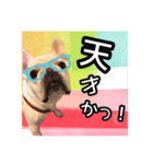 フレブル福たんですけど？褒めver（個別スタンプ：2）