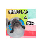 フレブル福たんですけど？褒めver（個別スタンプ：3）