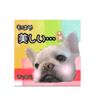 フレブル福たんですけど？褒めver（個別スタンプ：4）