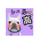 フレブル福たんですけど？褒めver（個別スタンプ：7）