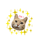 ぽた美ちゃんスタンプ（個別スタンプ：1）