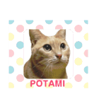 ぽた美ちゃんスタンプ（個別スタンプ：5）