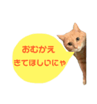 ぽた美ちゃんスタンプ（個別スタンプ：26）