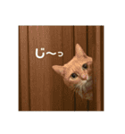 ぽた美ちゃんスタンプ（個別スタンプ：27）