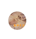 ポメラニアンポーコ（個別スタンプ：2）