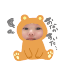 息子娘ちゃんたまにパパ（個別スタンプ：1）