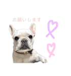 フレブルきなこのスタンプ（個別スタンプ：15）