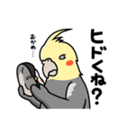 Birds,Birds,Birds #1（個別スタンプ：4）