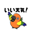 Birds,Birds,Birds #1（個別スタンプ：14）