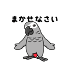 Birds,Birds,Birds #1（個別スタンプ：18）